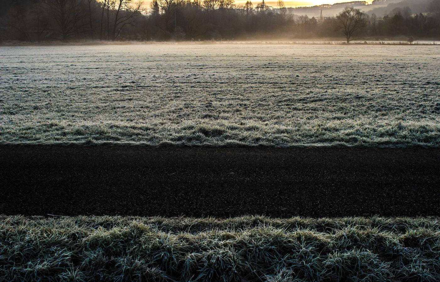 Команда работает над проектом